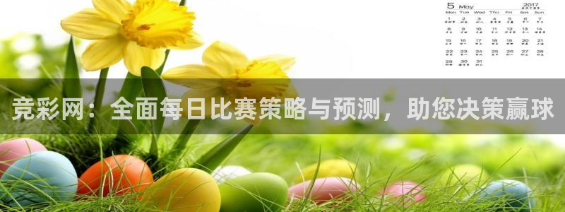 竞彩网：全面每日比赛策略与预测，助您决策赢球