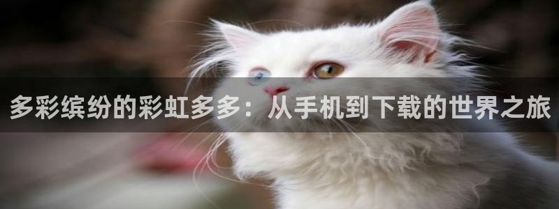 7790必发集团登录入口：多彩缤纷的彩虹多多：从手机到下载的世界之旅