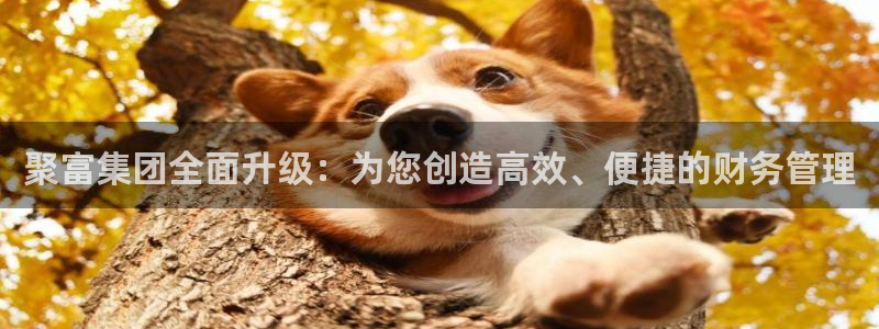 7790必发集团官网：聚富集团全面升级：为您创造高效、便捷的财务管理